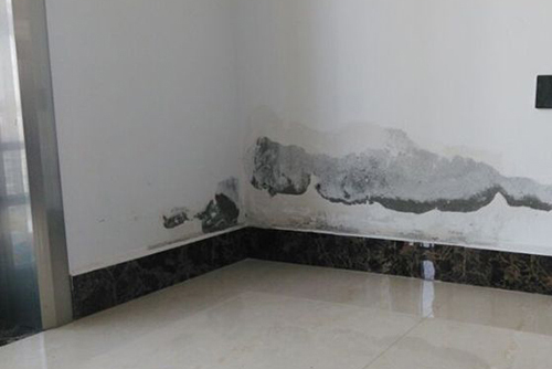玉林市新型建筑防水公司价格